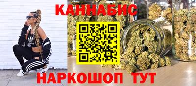 МДПВ Камышлов