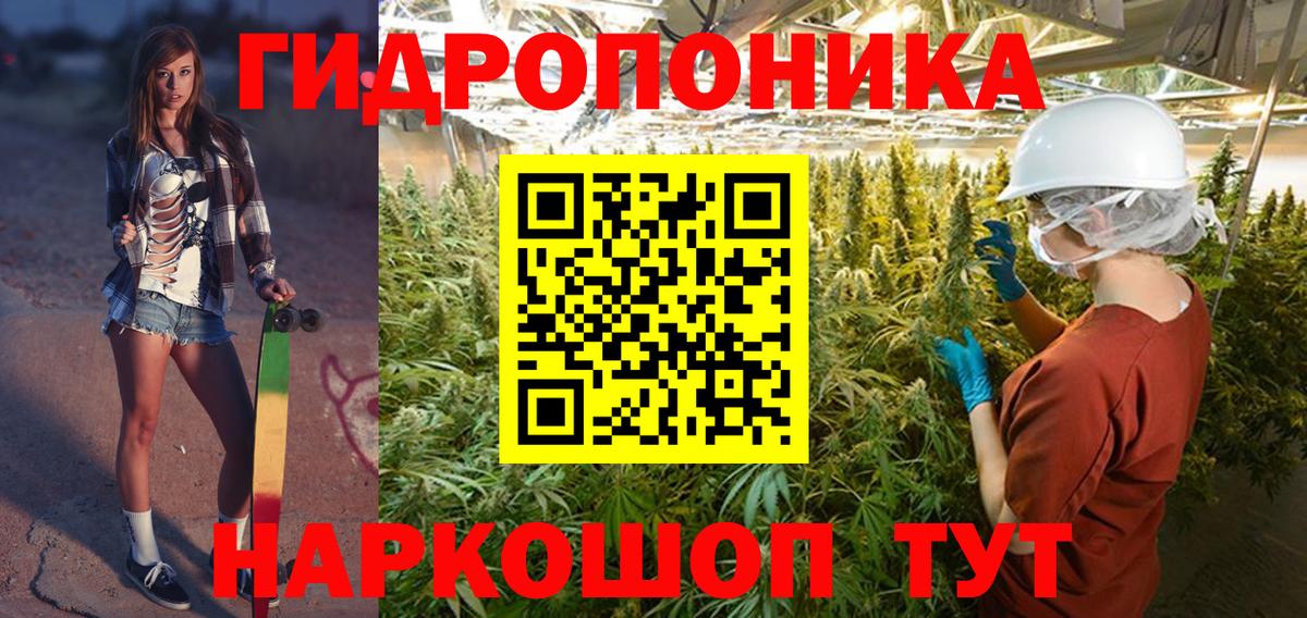 Кашира  Бошки марихуана ГИДРОПОН  Вход с VPN  Каннабис AK-47  МАРИХУАНА White Widow 